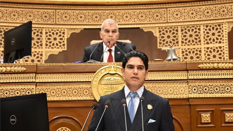 «الشيوخ» يوافق مبدئيًا على إصدار قانون «حماية المنافسة»