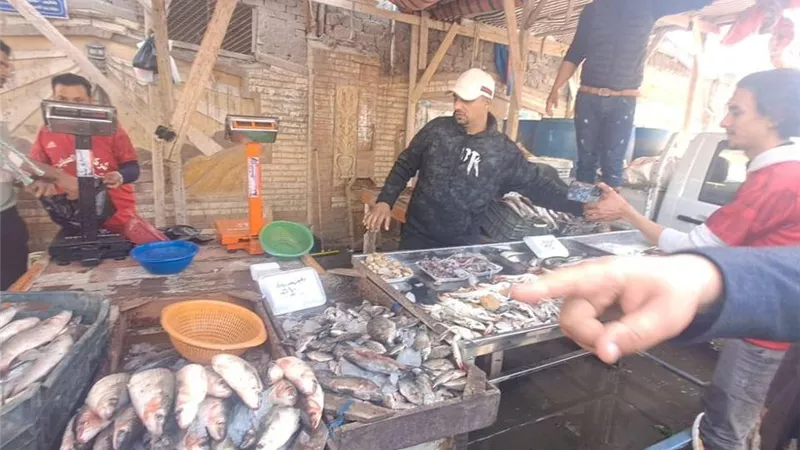 محافظ كفرالشيخ يطلق مبادرة «معًا ضد الغلاء».. أسماك بأسعار مخفضة 