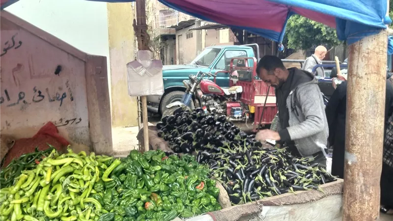  الطماطم تتراجع لـ 25 جنيهاً في أسواق كفر الشيخ