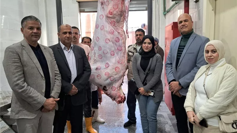 الكيلو بـ 500 جنيه.. أسعار اللحوم اليوم في كفر الشيخ