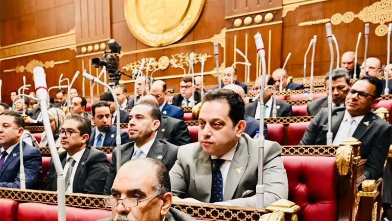 محمد الجندي: قانون حماية المنافسة 