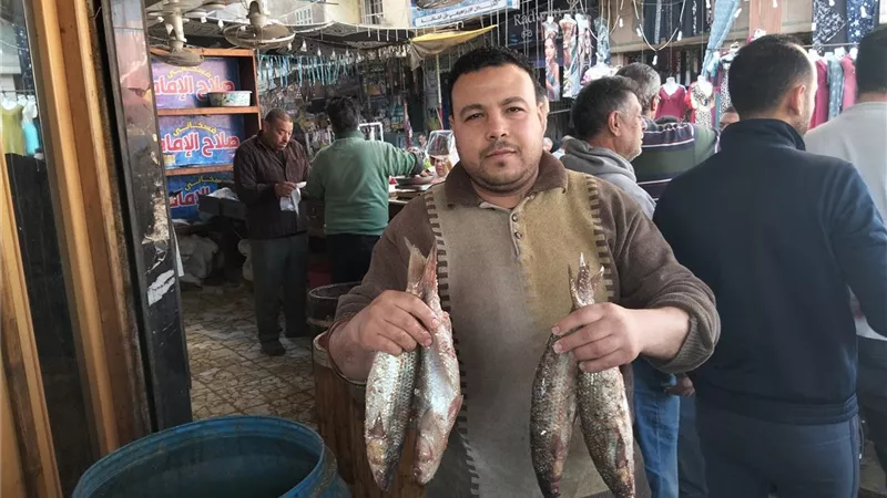 كيلو الفسيخ بـ600 جنيه.. أسعار الأسماك المملحة في كفر الشيخ اليوم