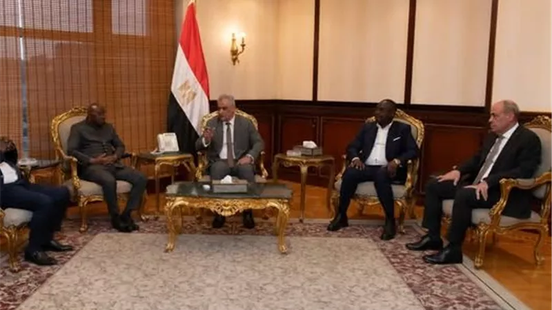 وزير الإنتاج الحربي يستقبل وفد جمهورية أفريقيا الوسطى للتعاون المشترك