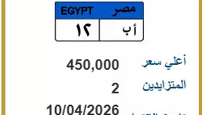 وصلت لـ 450 ألفا.. منافسة شرسة بين شخصين على لوحة 