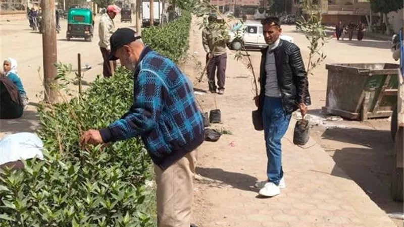 زراعة 210 شتلات متنوعة بمركزي مطاي وبني مزار بالمنيا