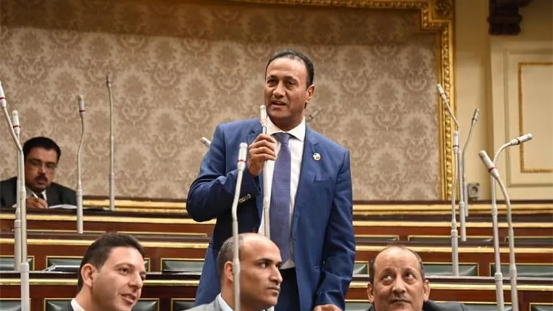 علي بدوي يطالب بوقف المد للقيادات والمستشارين فوق سن الستين