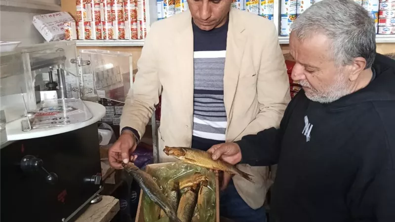استعدادًا لأعياد الربيع.. ضبط كميات من الأسماك فاسدة بالبحيرة 