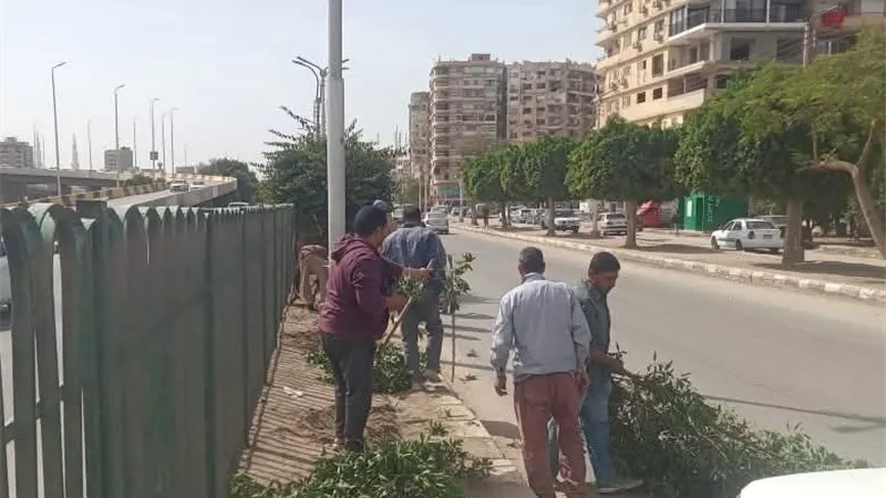 ضمن 