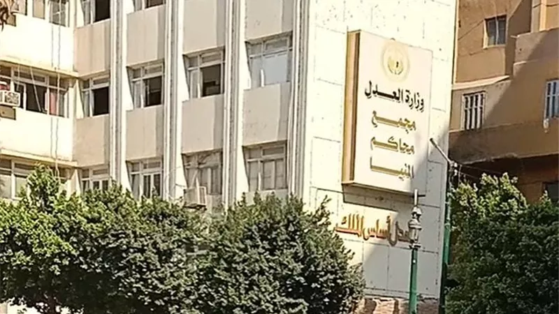 جنايات المنيا: السجن 15 عامًا لشاب قتل شقيقته في بني مزار