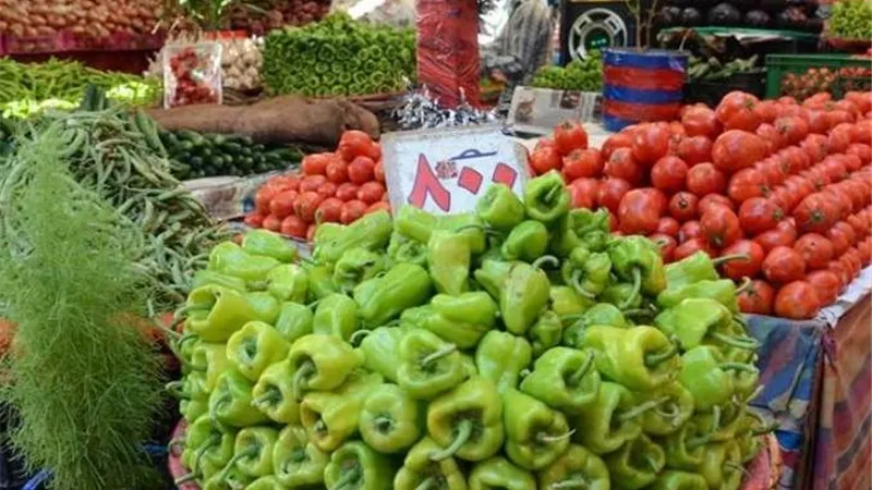  الطماطم بـ 10.5 – 22.5 جنيه.. استقرار نسبي في سوق العبور