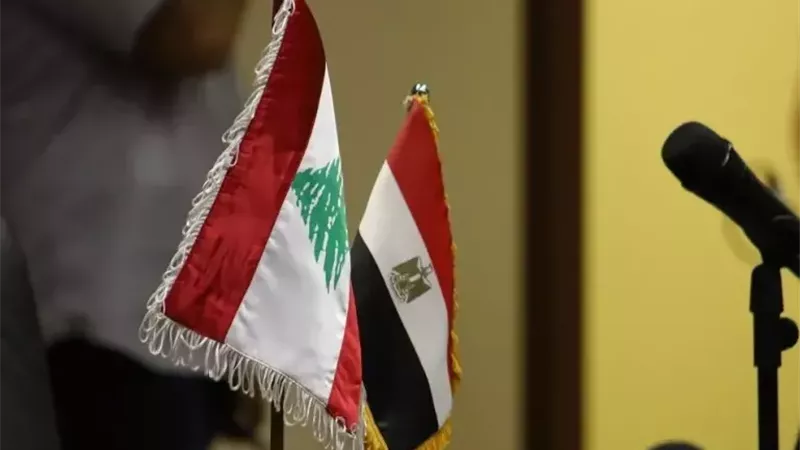 مصر تدين الاعتداءات الإسرائيلية على لبنان.. وتدعو المجتمع الدولي للتدخل