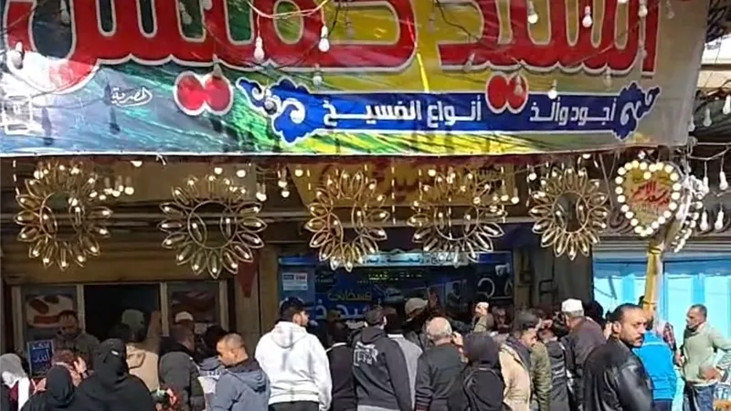 موسم الفسيخ يشتعل في دمياط.. إقبال كبير وأسعار مرتفعة قبل شم النسيم
