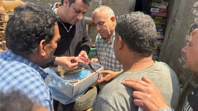  قبل شم النسيم.. ضبط 3.3 طن أسماك ولحوم فاسدة في الغربية| صور