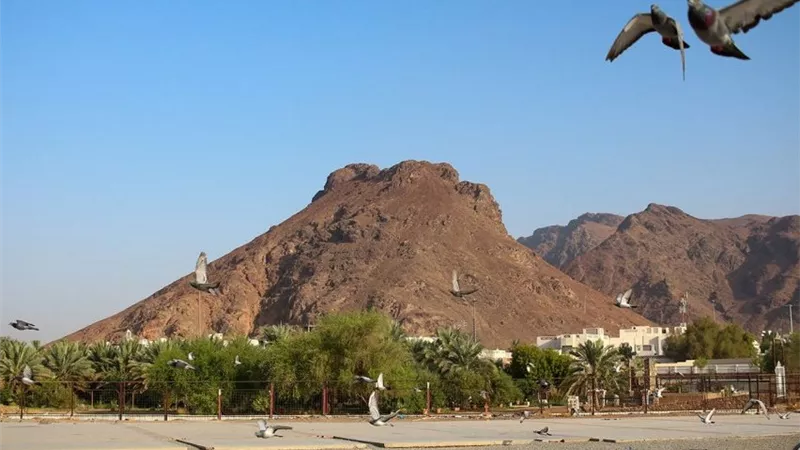 أحد جبال الجنة.. ماذا قال الرسول عن جبل أحد؟ 