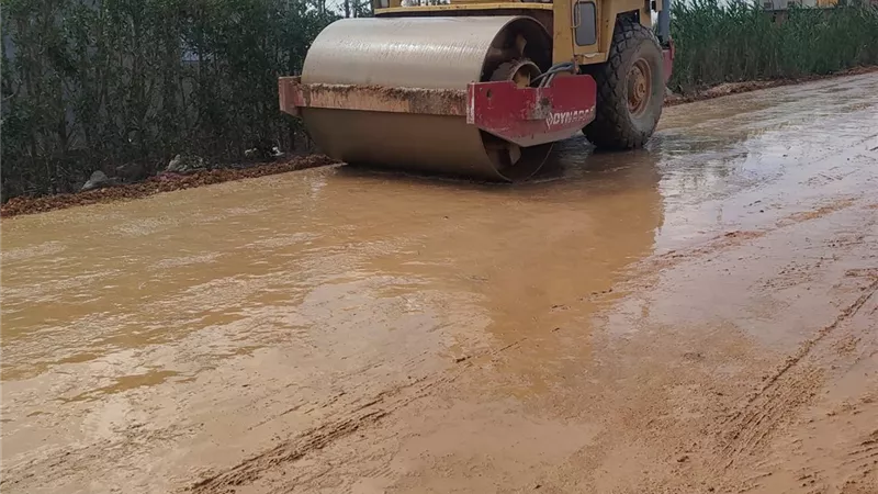 محافظ كفر الشيخ يتابع أعمال رصف طريق 