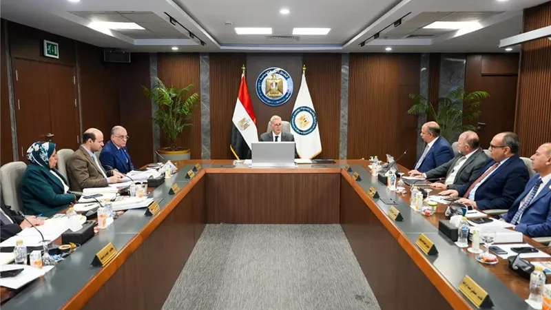 «صان مصر» تحقق 6.6 مليار جنيه تعاقدات بالدول العربية في 2025 بنمو 85%