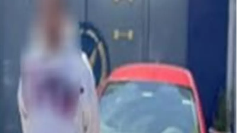 القبض على قائد السيارة المتسبب في حادث أكتوبر بعد فراره|تفاصيل