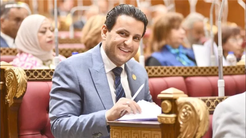 عضو مجلس الشيوخ: العمل وزيادة الإنتاج هما الطريق الحقيقي لسداد ديون مصر