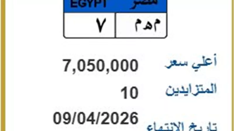 «تحدي الكبار».. لوحة سيارة 