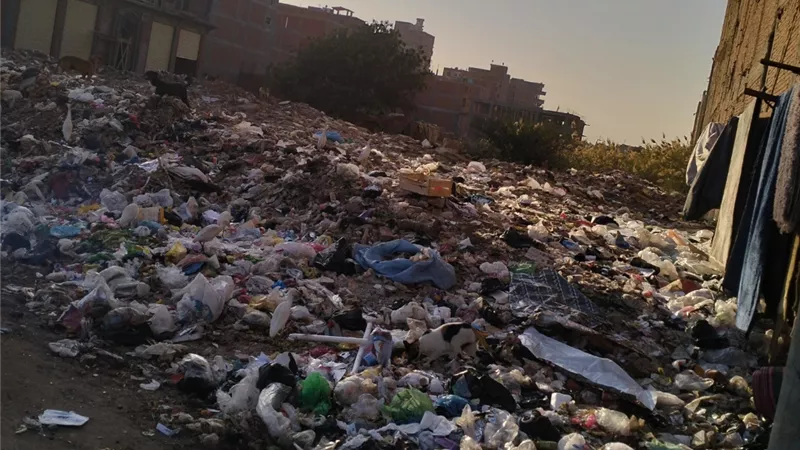 القمامة تحاصر الشوارع بطنطا والأهالي يستغيثون: “أنقذوا أطفالنا من الأمراض”