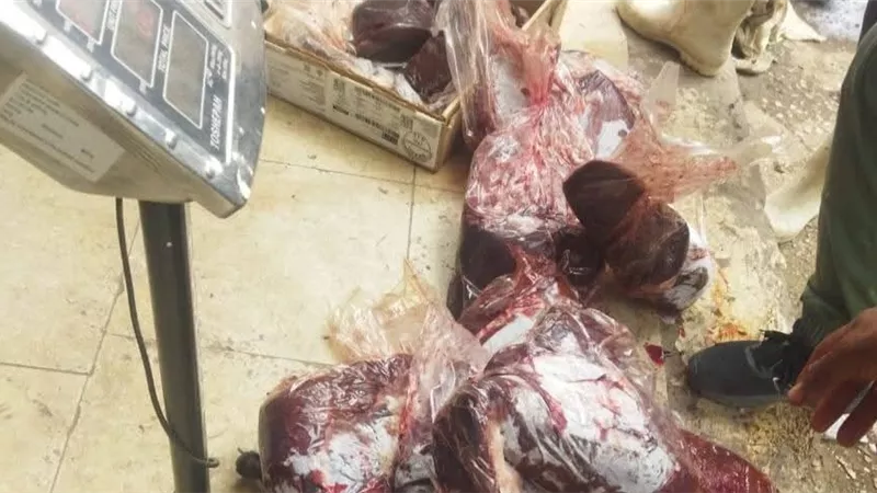 تحرير 2769 محضرًا خلال شهر بحملات مكثفة على الأسواق والمخابز بأسيوط