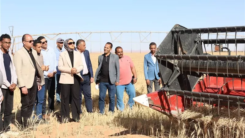 محافظ الوادي الجديد تشهد حصاد محصول القمح بالداخلة