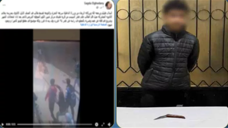 طالب يطعن زميله بـ«مطواة» عقب خروجهما من المدرسة بالمنوفية