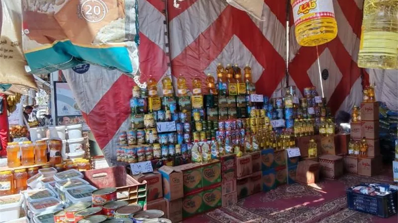 أسواق اليوم الواحد بالغربية.. تخفيضات تصل إلى 30% وإقبال جماهيري واسع 