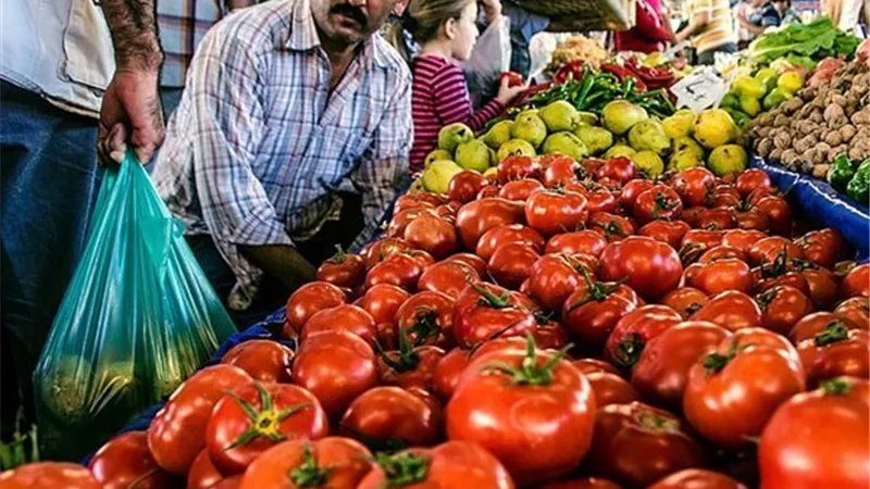 الكرنب بـ 30 جنيهًا.. أسعار الخضروات في أسواق المنيا اليوم الإثنين 