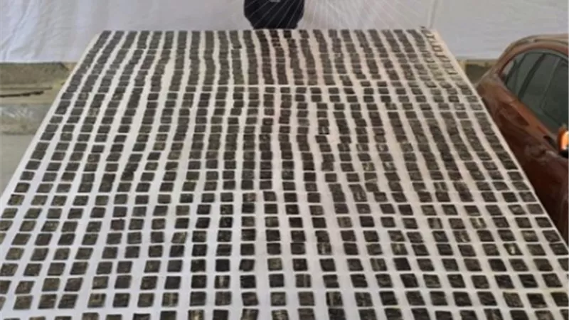 مصرع 3 عناصر إجرامية وضبط 800 كيلو مخدرات و76 قطعة سلاح في قنا وأسيوط