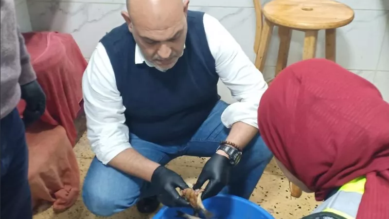 ضبط طن ونصف أسماك مملحة فاسدة ببنها خلال حملات بيطرية مكثفة 