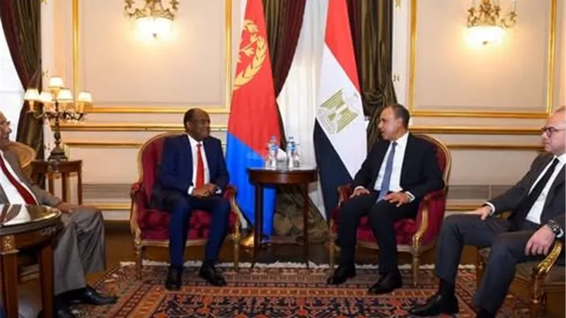 وزير الخارجية يؤكد دعم مصر الكامل لسيادة إريتريا ووحدة أراضيها