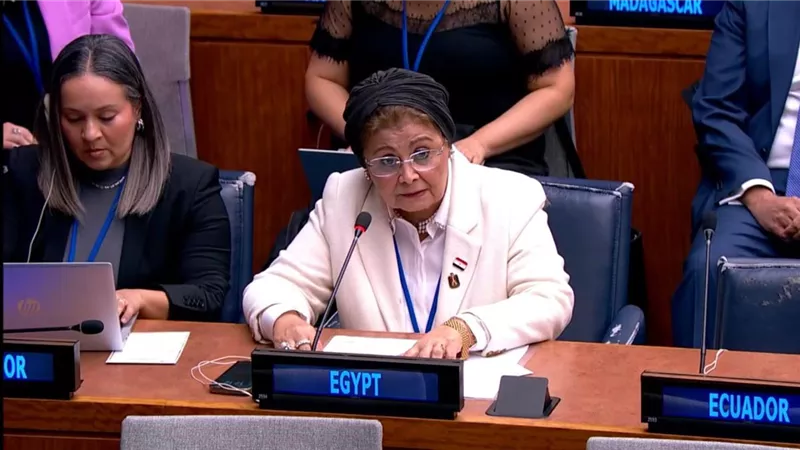 مع احترام القيم الدينية.. مصر تجدد إلتزامها ببرنامج المؤتمر الدولي للسكان