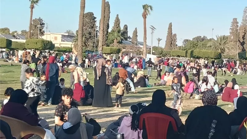 شوي وفسيخ .. أجواء شم النسيم في حدائق نمرة 6 بالإسماعيلية.. فيديو