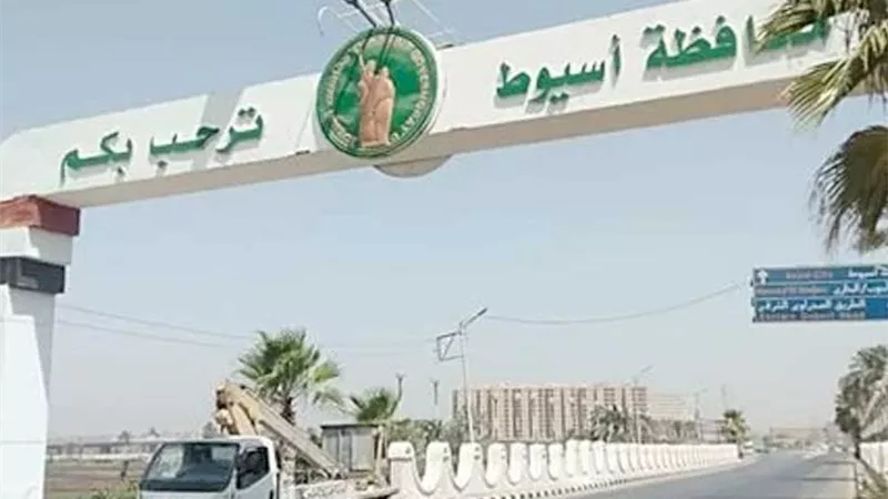 أبناء أسيوط بالخارج.. إيطاليا والكويت وجهتان رئيسيتان بحثًا عن الرزق