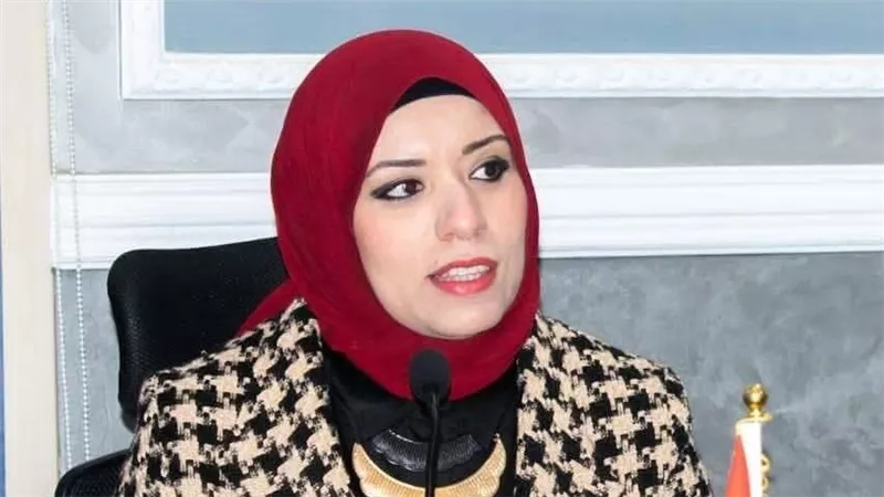 طلب إحاطة بشأن سقوط سيارة من عبّارة متهالكة بمركز المراغة