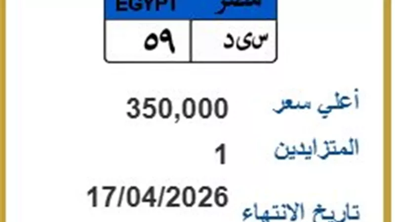 لوحة سيارة بـ 350 ألف جنيه.. مزايدة على 