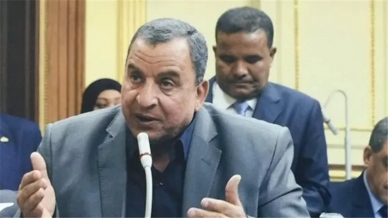  كمال: عودة المجالس المحلية تضمن مشاركة المواطنين في صنع القرار |خاص