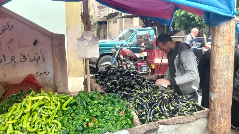 أسعار الخضروات والفواكه في محافظة كفرالشيخ اليوم الأربعاء 