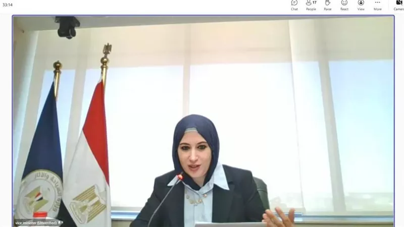 نائب وزير السياحة ترأس اجتماع D-8 حول حوكمة الذكاء الاصطناعي 