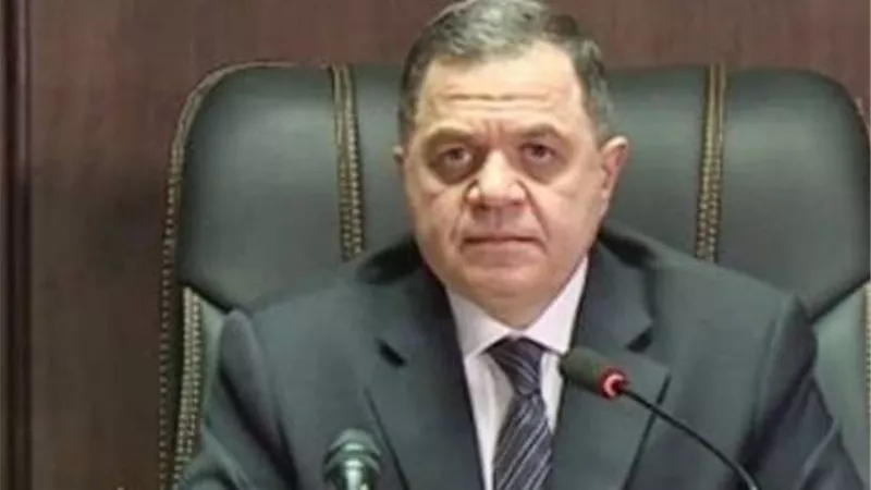 السمح لـ 21 مواطنا بالتجنس بجنسيات أجنبية مع إسقاط المصرية