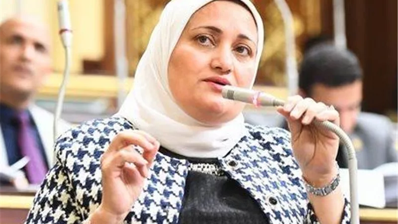 سؤال برلماني: لماذا تطبق وزارة الكهرباء قرار العدادات الكودية بأثر رجعي؟