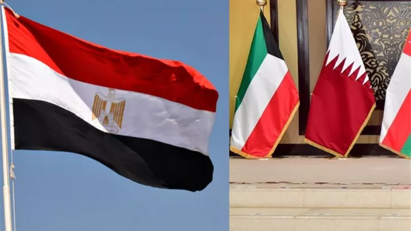 هاني فاروق: العلاقات بين مصر والخليج ليست ظرفية أو اقتصادية فقط بل تاريخية