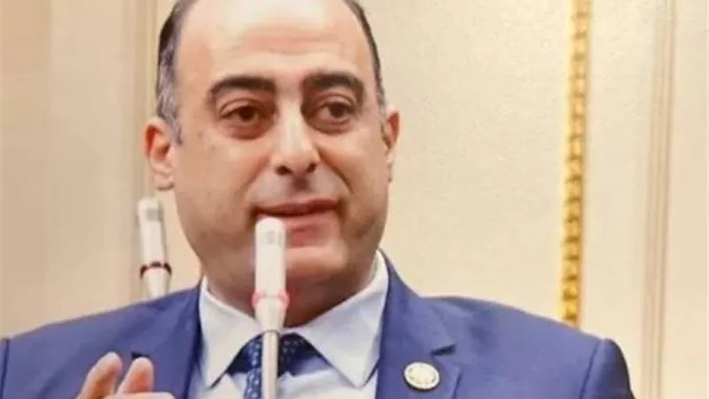 نزيف أموال الدولة.. تحرك برلماني لوقف خسائر شركة كهرباء الإسكندرية