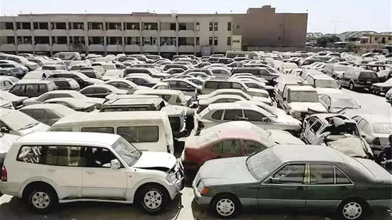 117.4 مليون جنيه حصيلة مزاد المهمل بجمارك دمياط