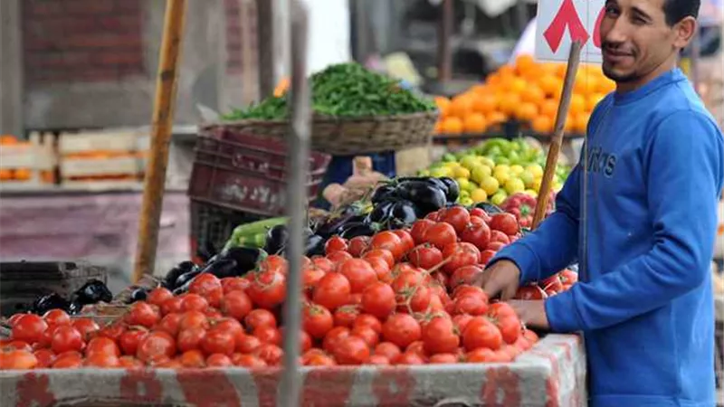 الطماطم بـ 20 جنيها  أسعار الخضروات في أسواق المنيا اليوم الجمعة 