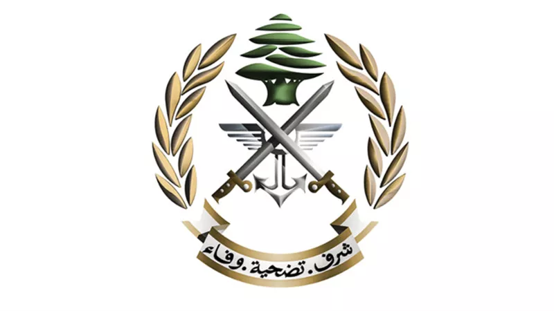 فرحًا بوقف إطلاق النار.. الجيش اللبناني يعتقل مطلقي النار في الهواء
