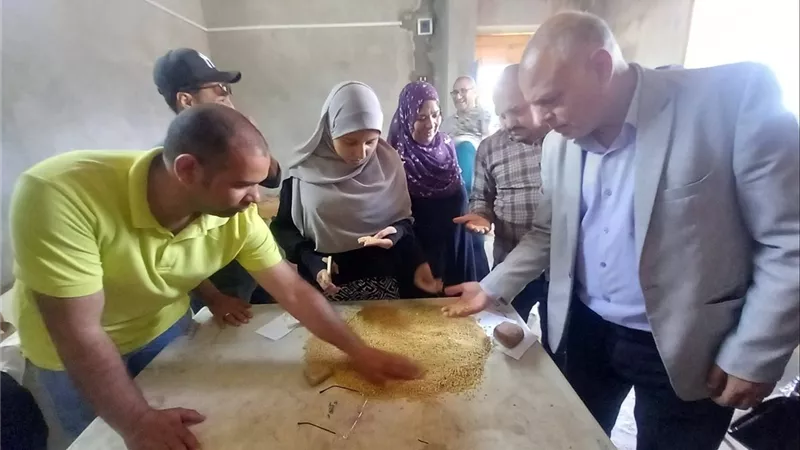 بشائر الخير بأسيوط.. انطلاق حصاد القمح وتوريد 387 طنًا بـ28 صومعة وشونة