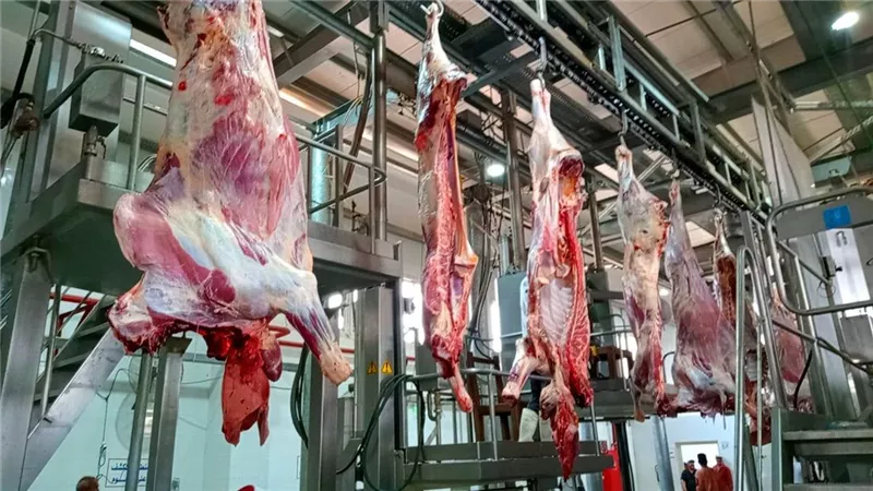 على 6 أشهر.. الأوقاف تتيح صك الأضحية بالتقسيط لأول مرة