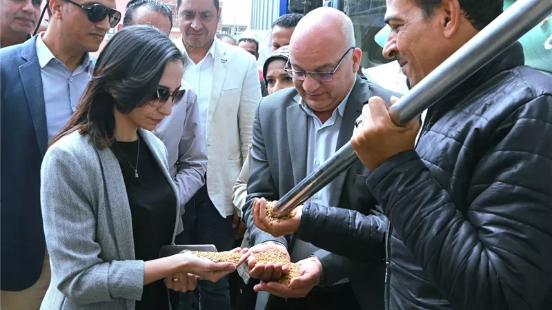 محافظ البحيرة تتفقد أعمال توريد القمح بصومعة الغلال بزاوية غزال